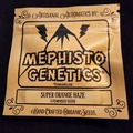 Sell: Mephisto Genetics Super Orange Haze 3 Pack