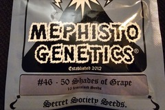 Venta: Mephisto Genetics 50 Shades of Grape 10 pack