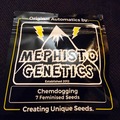 Sell: Mephisto Genetics Chemdogging 7 Pack