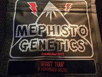 Vente: Mephisto Genetics Ghost Toof 7 Pack
