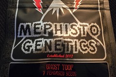 Sell: Mephisto Genetics Ghost Toof 7 Pack