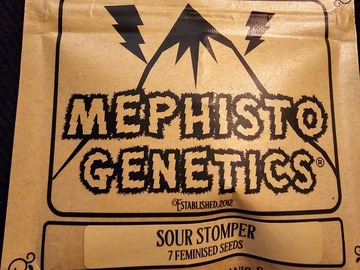 Vente: Mephisto Genetics Sour Stomper 7 Pack