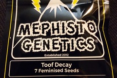 Sell: Mephisto Genetics Toof  Decay 7 Pack