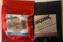 Sell: Paris Larry F2 skunk house