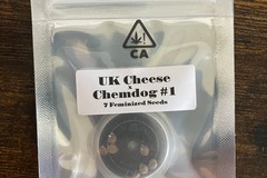 Sell: UK Cheese x Chemdog #1 from CSI Humboldt