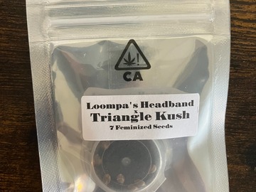 Sell: Loompa’s Headband x Triangle Kush