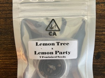 Vente: Lemon Party x Lemon Tree from CSI Humboldt
