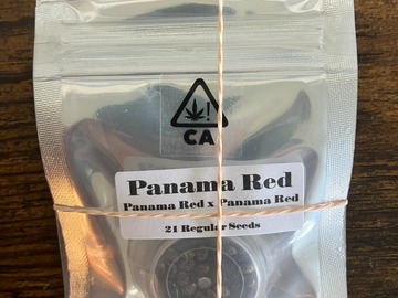 Venta: Panama Red IBL from CSI Humboldt