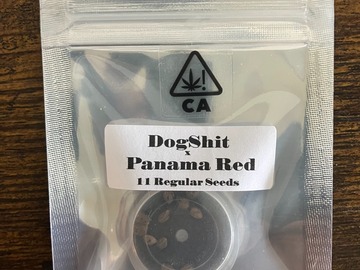 Venta: Dog Shit x Panama Red from CSI Humboldt