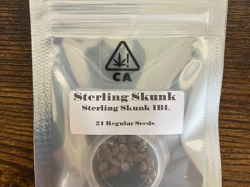 Vente: Sterling Skunk IBL from CSI Humboldt