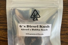 Sell: G’s Diesel Kush from CSI Humboldt