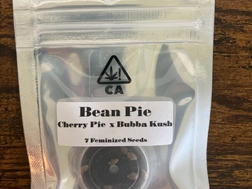 Venta: Bean Pie from CSI Humboldt