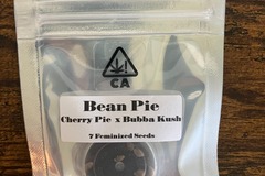 Sell: Bean Pie from CSI Humboldt