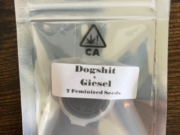 Vente: Dogshit x Giesel from CSI Humboldt