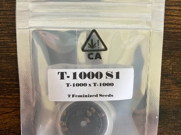 Vente: T-1000 S1 from CSI Humboldt