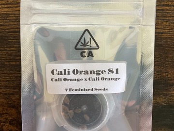 Vente: Cali Orange S1 from CSI Humboldt