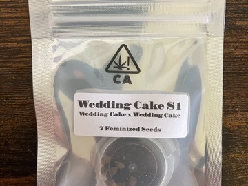 Vente: Wedding Cake S1 from CSI Humboldt