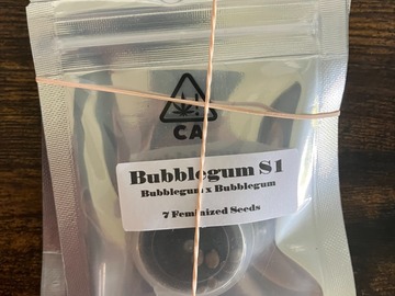 Sell: Bubblegum S1 from CSI Humboldt