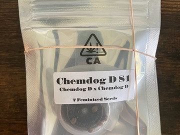 Vente: Chemdog D S1 from CSI Humboldt