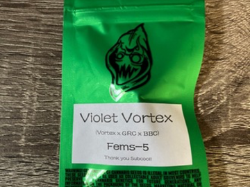 Sell: Robinhood Seeds- Violet Vortex