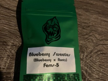 Sell: Robinhood Seeds- Blueberry Sweeties