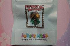 Sell: Jokerz NS'23 - Masonic Seed Co. (White Runtz x Jet fuel Gelato)
