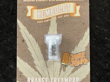 Sell: Orange CreamPop Seeds-Humboldt Seed Co. (10 Pack)