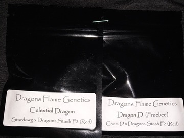 Vente: Celestial Dragon regulars by Dragon Flame Genetics