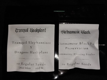 Sell: Tranquil Hashplant regular by Dragons Flame Genetics