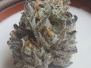 Sell: Red-Eyed Genetics - BTY Cookies