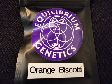Venta: Equilibrium Genetics Orange Biscotti 8 pack