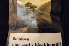 Sell: Zenetix Fabuloso Pine Soul x Blockhead F3 11+ Pack