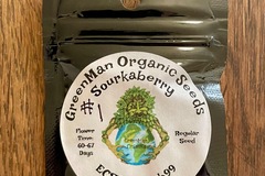 Sell: GreenMan Organic Seeds - Sourkaberry