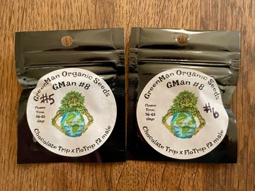 Sell: GreenMan Organic Seeds - Chocolate Trip x Flo Trip F2