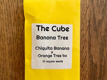 Sell: The Cube - Banana Tree