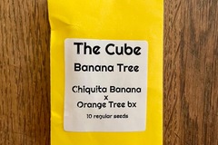 Sell: The Cube - Banana Tree