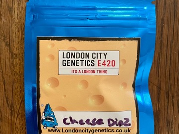 Venta: London City Genetics - Cheese Dipz
