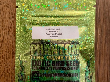 Vente: Phantom Fire Genetics - Papaya F2