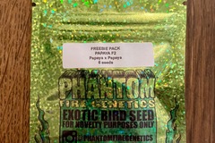 Sell: Phantom Fire Genetics - Papaya F2