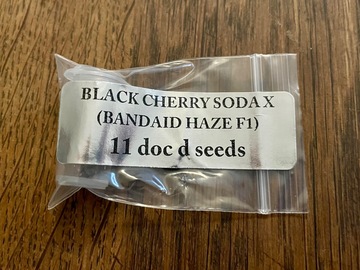Venta: Doc D Seeds - Black Cherry Soda x Bandaid Haze