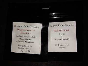 Venta: Dragons Macberry Moonshine 10 R seeds by Dragons Flame Genetics
