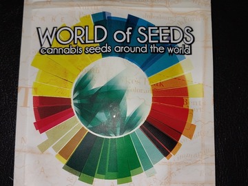 Vente: Ketama, 10 regular seeds by World of Seeds