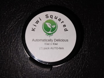 Sell: Kiwi Squared Autoflower 2 seeds by Automatically Delicious