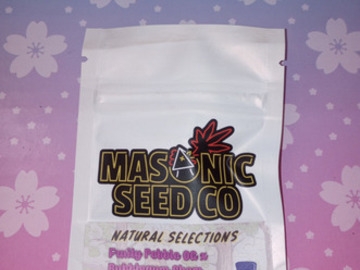 Vente: Fruity Pebble OG BubbleGum Chem (NS) Masonic seeds