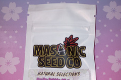 Sell: Fruity Pebble OG BubbleGum Chem (NS) Masonic seeds
