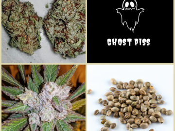 Sell: New Updated Ghost Piss Collection -11 Packs 126 Seeds