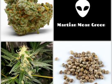 Subastas: Auction - Martian Mean Green Collection - 5 Packs 60 Seeds