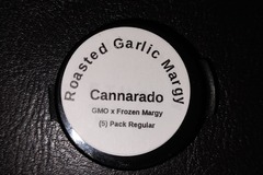 Sell: Roasted Garlic Margy, 5 Regular Seeds by Cannarado Genetics