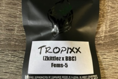Sell: Square  One Genetics- Tropixx