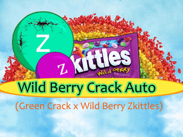 Subastas: Wild Berry Crack Auto (12 Feminized seeds) + Freebie Auction